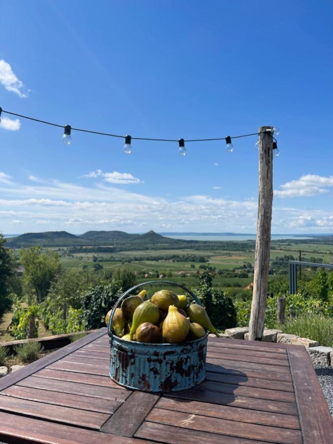 Villa Vinonima Vendeghaz Hegymagas Exterior foto